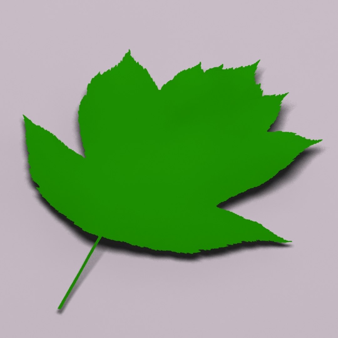 3d model wild service tree sorbus https://p.turbosquid.com/ts-thumb/By/Qixn9f/mxpugrsP/wildservicetreeleafgreen/jpg/1405525663/1920x1080/fit_q87/688d41556123a50df773a94c3c73224f30051bac/wildservicetreeleafgreen.jpg