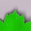 Wild service tree leaf (Sorbus torminalis)