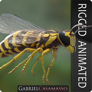 Vespula squamosa Rigged