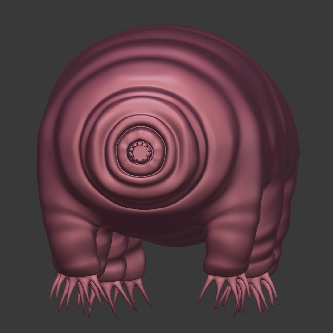 Microscopic bear 3D model - TurboSquid 1421042