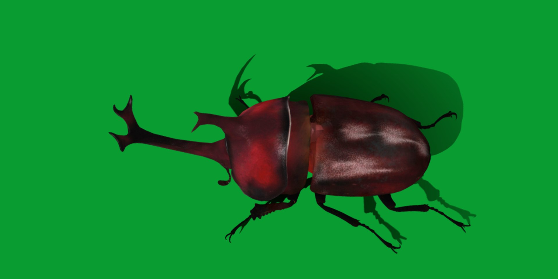 Rhinoceros Beetle 3D https://p.turbosquid.com/ts-thumb/By/vTnqlk/Ae/beetle11/png/1742484779/1920x1080/fit_q87/77fcd729fee829fff7273ada521a62b90a0af922/beetle11.jpg