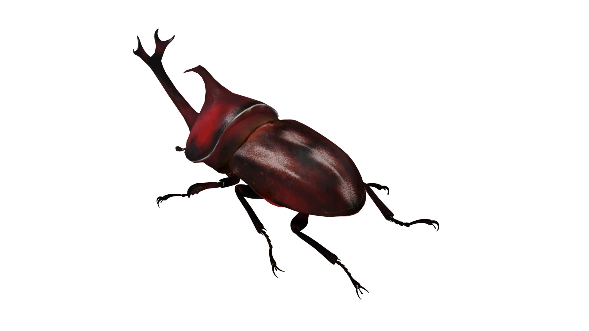 Rhinoceros Beetle 3D https://p.turbosquid.com/ts-thumb/By/vTnqlk/Cr/rhinoceros_beetle_preview2/png/1742484771/1920x1080/fit_q87/a138fc11a80b63de33e106bf36de973ff3495561/rhinoceros_beetle_preview2.jpg