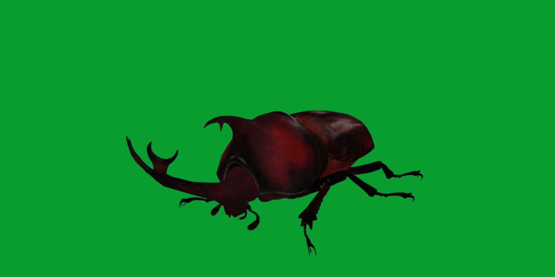 Rhinoceros Beetle 3D https://p.turbosquid.com/ts-thumb/By/vTnqlk/G3/beetle3/png/1742484773/1920x1080/fit_q87/4be4e045443e959415603c3dba41a0d64eeea2f4/beetle3.jpg