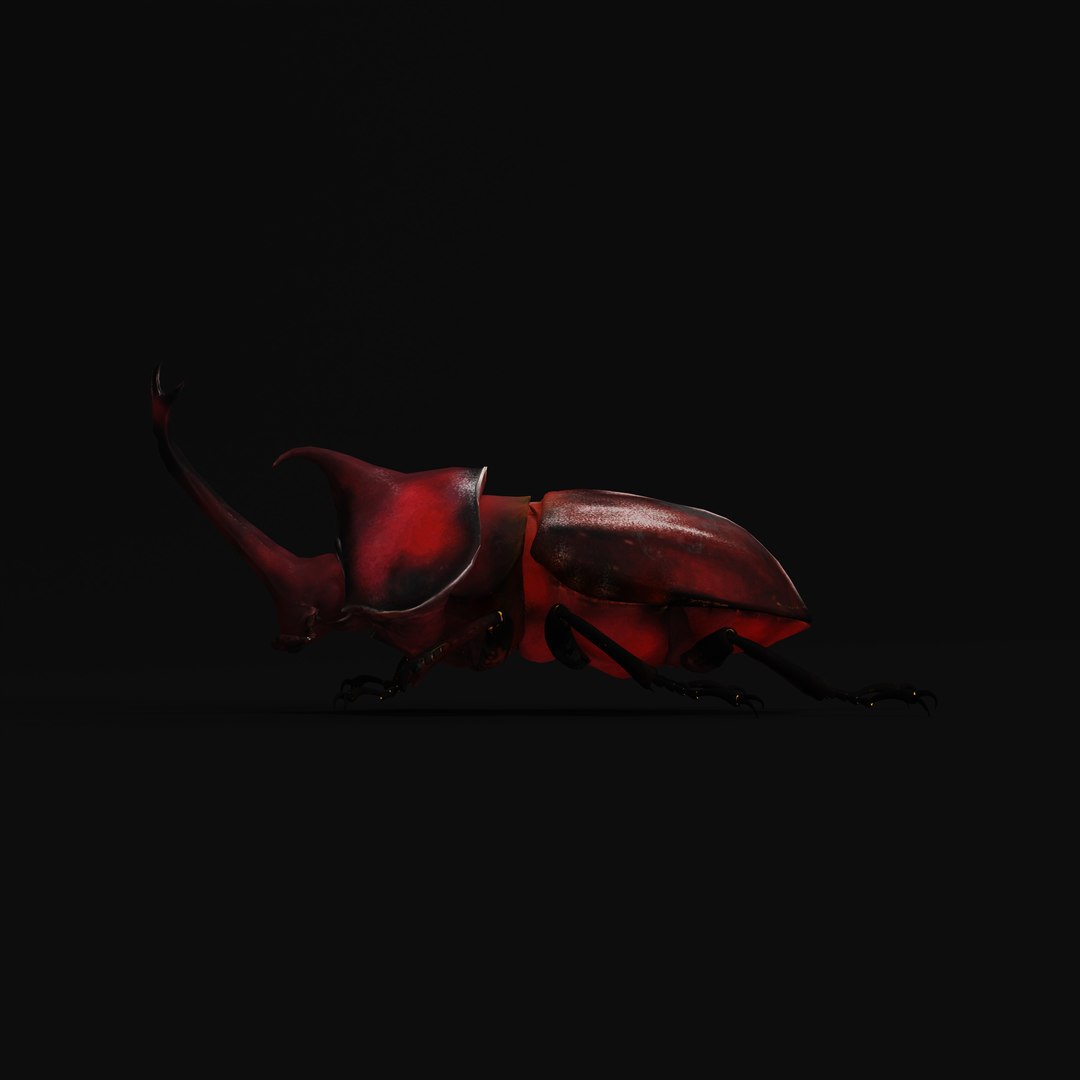 Rhinoceros Beetle 3D https://p.turbosquid.com/ts-thumb/By/vTnqlk/Gx/rhinocerosbeetlearmature_0001/jpg/1742484771/1920x1080/fit_q87/9c366a6d6d526fc0527b13dbcd154b7f9bbf0a99/rhinocerosbeetlearmature_0001.jpg
