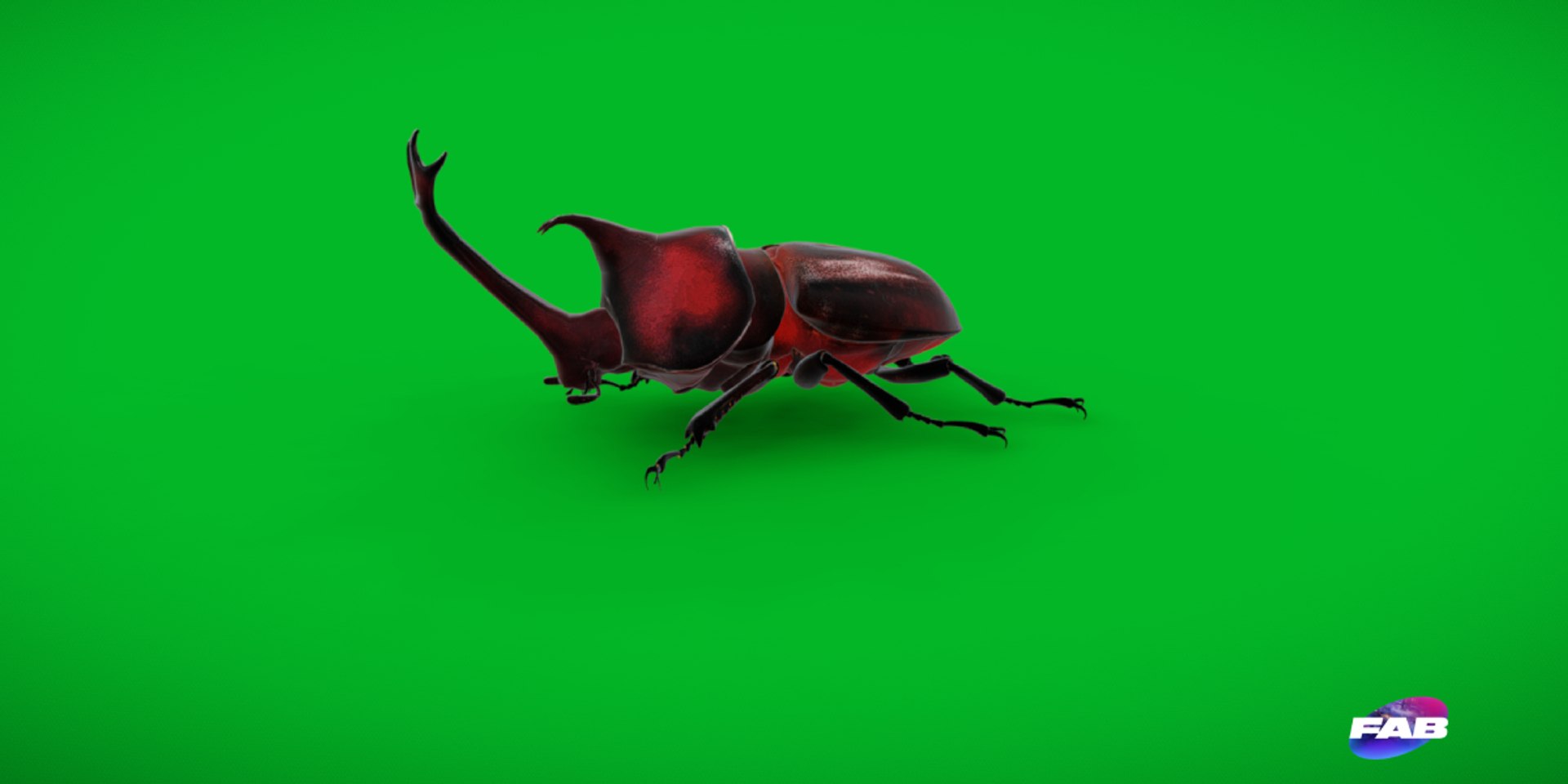 Rhinoceros Beetle 3D https://p.turbosquid.com/ts-thumb/By/vTnqlk/Hq/rhinoceros_beetlecopy/png/1742484799/1920x1080/fit_q87/ccc9980f20071ee7763d40f8901a2cdfb453aa45/rhinoceros_beetlecopy.jpg