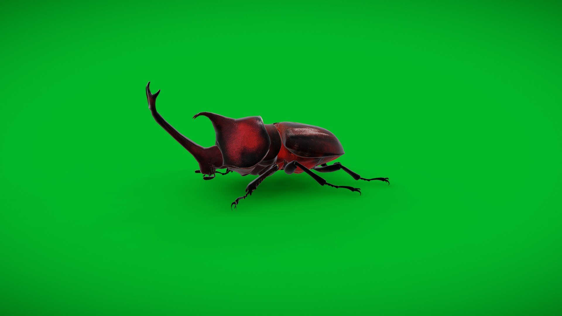 Rhinoceros Beetle 3D https://p.turbosquid.com/ts-thumb/By/vTnqlk/LS/screenshot_20250320_024938/jpg/1742484758/1920x1080/fit_q87/ef18fb181a5ab142b0e3400452c2e0e27154bb20/screenshot_20250320_024938.jpg
