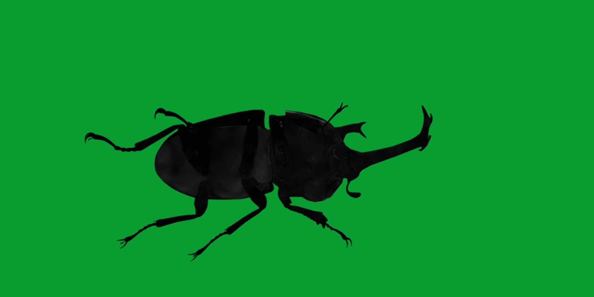 Rhinoceros Beetle 3D https://p.turbosquid.com/ts-thumb/By/vTnqlk/O7/beetle19/png/1742484784/1920x1080/fit_q87/09d86a47ba97a170a253f47b62a0357a55f0e022/beetle19.jpg