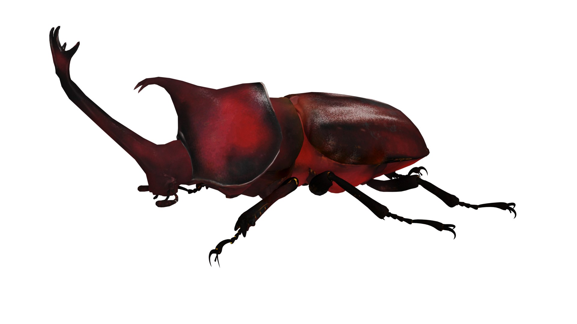 Rhinoceros Beetle 3D https://p.turbosquid.com/ts-thumb/By/vTnqlk/SE/rhinoceros_beetle_preview/png/1742484801/1920x1080/fit_q87/878d4c441036e0938f4648acca6c52dd70453554/rhinoceros_beetle_preview.jpg