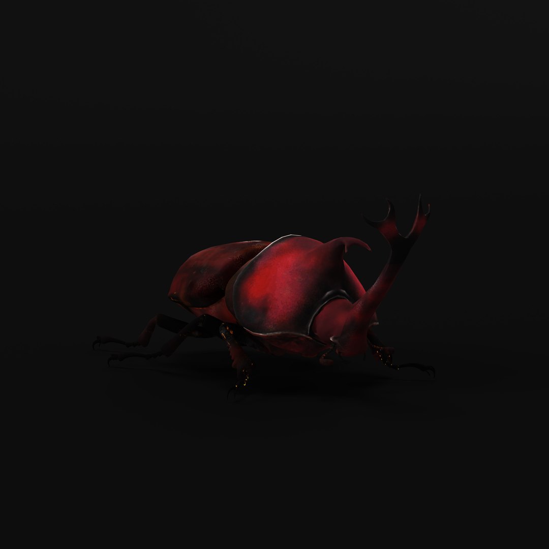 Rhinoceros Beetle 3D https://p.turbosquid.com/ts-thumb/By/vTnqlk/Sx/rhinocerosbeetlearmature/jpg/1742484770/1920x1080/fit_q87/aec3e8de638dfaf8c3fc441e9a3a4a911e3e4b2f/rhinocerosbeetlearmature.jpg