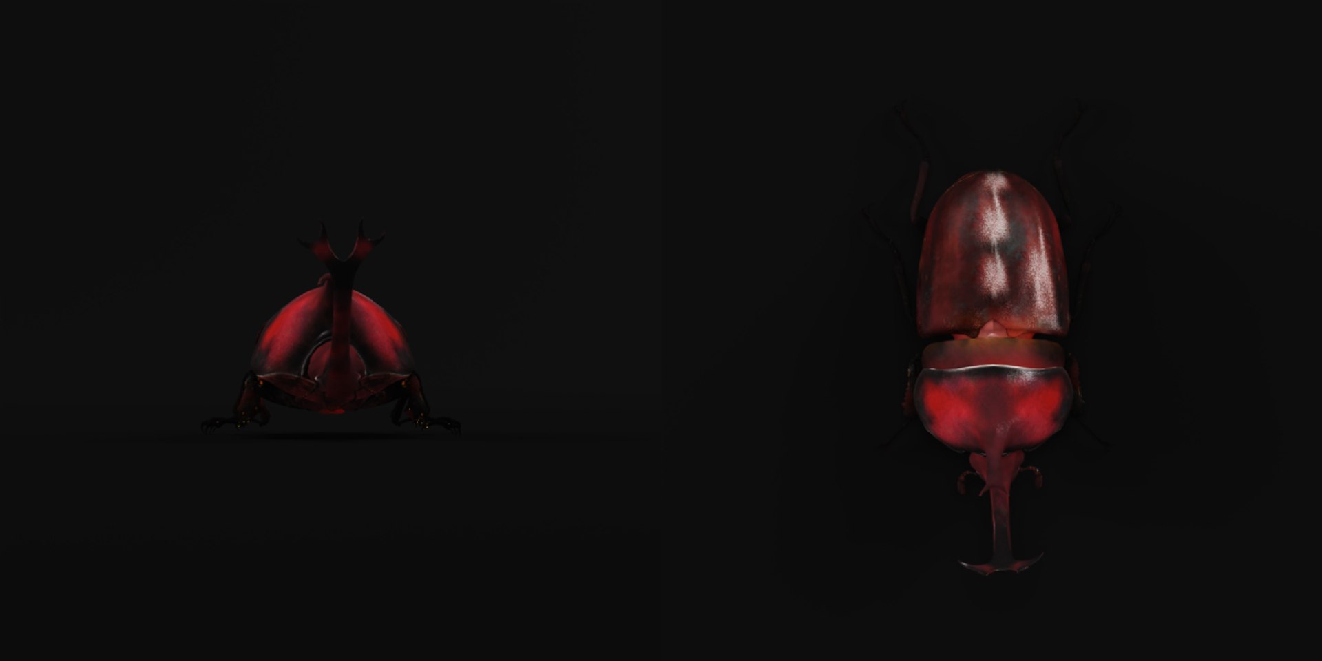 Rhinoceros Beetle 3D https://p.turbosquid.com/ts-thumb/By/vTnqlk/Vr/beetle9/png/1742484779/1920x1080/fit_q87/3d9a21ab7f9e5640d0ff5a1e3760c78fddb4065a/beetle9.jpg