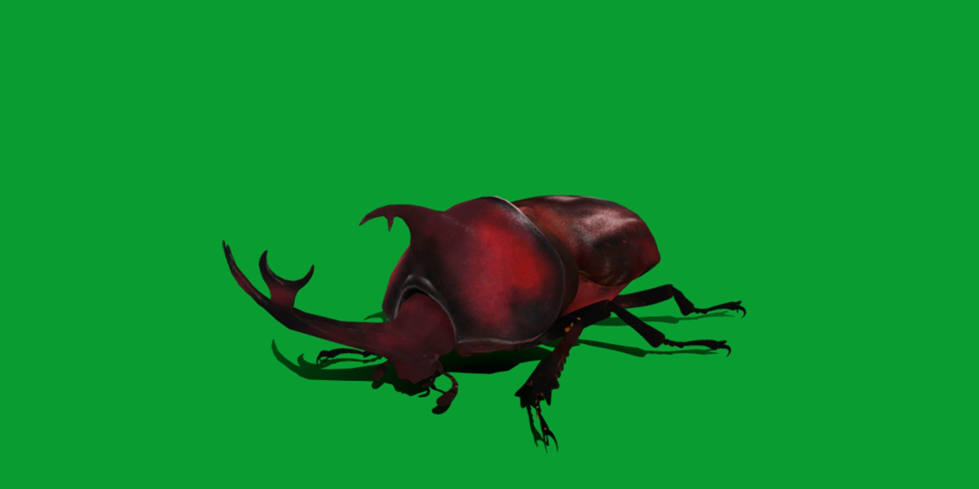 Rhinoceros Beetle 3D https://p.turbosquid.com/ts-thumb/By/vTnqlk/Wh/beetle2/png/1742484773/1920x1080/fit_q87/fb09e64fa58cf7ab8158376c5631bcafa986cfe8/beetle2.jpg