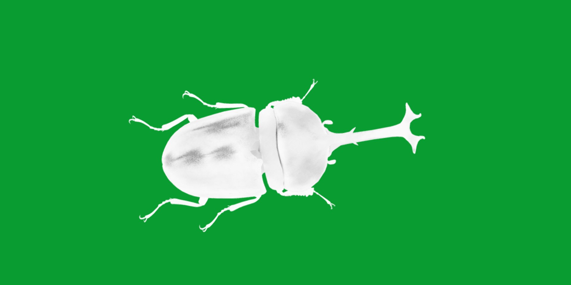 Rhinoceros Beetle 3D https://p.turbosquid.com/ts-thumb/By/vTnqlk/aq/beetle15/png/1742484782/1920x1080/fit_q87/13360518d8529a059dcabfff9c74ea3ebb29e275/beetle15.jpg