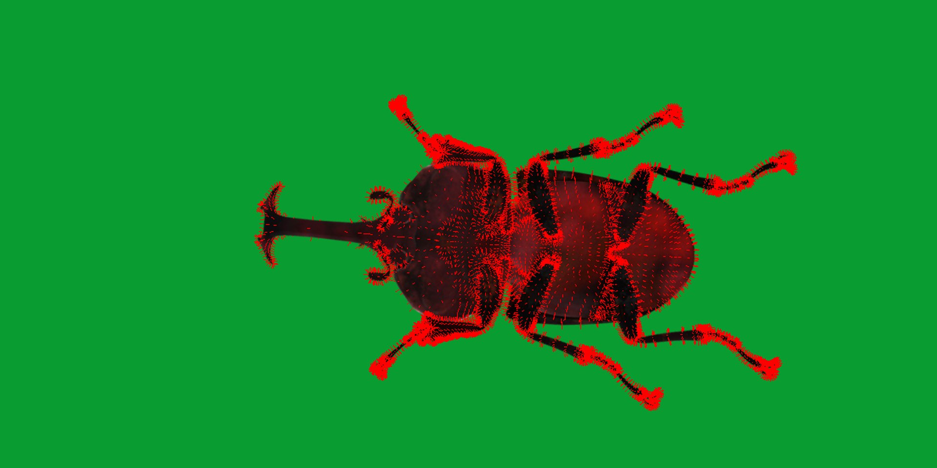 Rhinoceros Beetle 3D https://p.turbosquid.com/ts-thumb/By/vTnqlk/iD/beetle27/png/1742484792/1920x1080/fit_q87/afd5769442ad170a7fc81bd6ddbe7e4d06623800/beetle27.jpg
