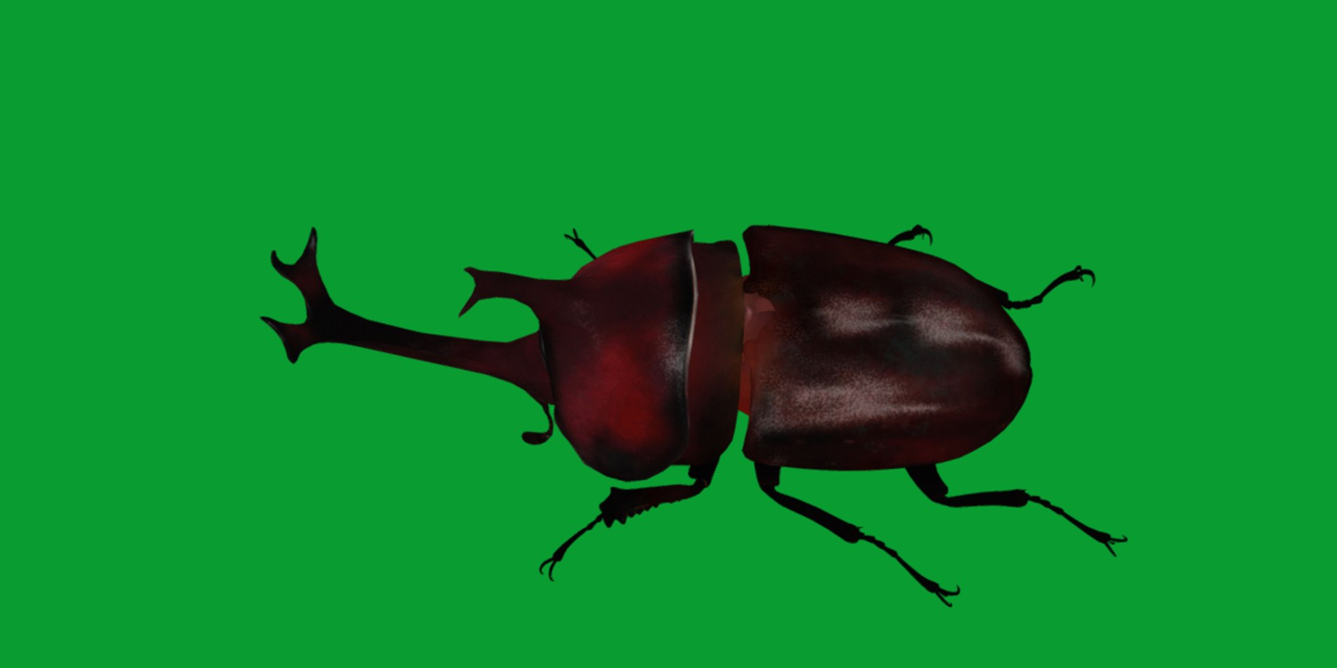 Rhinoceros Beetle 3D https://p.turbosquid.com/ts-thumb/By/vTnqlk/oY/beetle10/png/1742484778/1920x1080/fit_q87/d8bbad4836505d1e6b42110dc14bda5d63f8d537/beetle10.jpg