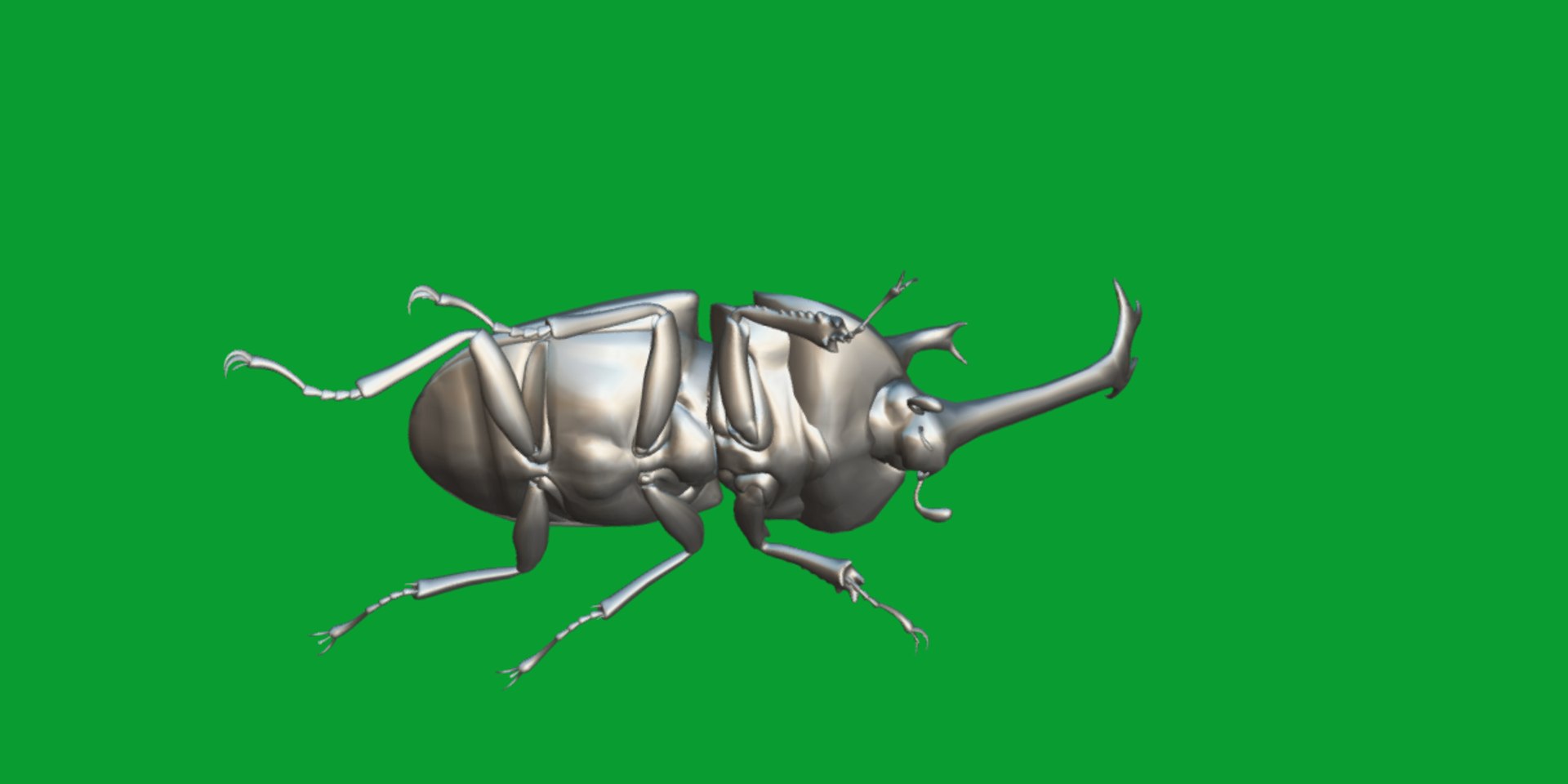 Rhinoceros Beetle 3D https://p.turbosquid.com/ts-thumb/By/vTnqlk/pO/beetle20/png/1742484786/1920x1080/fit_q87/8e13d405c27a5f6490ba65d8f69d1b1d0e154f2f/beetle20.jpg