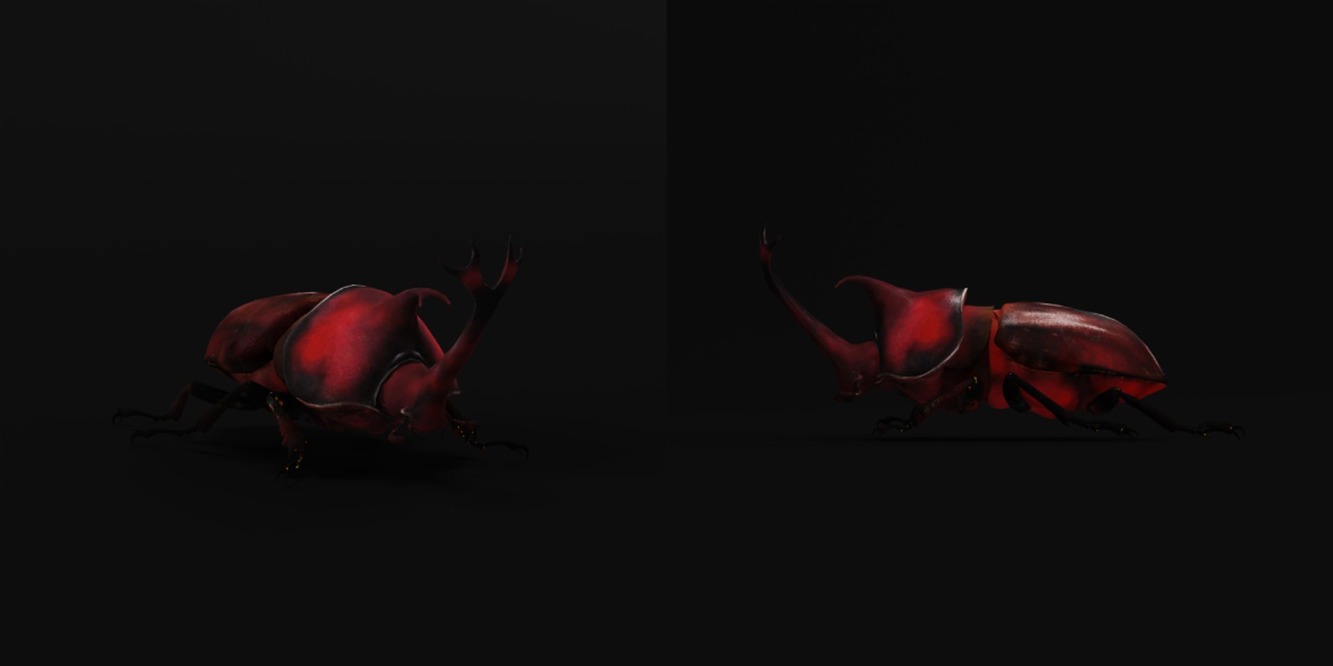 Rhinoceros Beetle 3D https://p.turbosquid.com/ts-thumb/By/vTnqlk/wg/beetle1/png/1742484773/1920x1080/fit_q87/a9acecddb64b04e85ffdbfbb1f5c37864284da27/beetle1.jpg