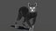 3ds lynx eurasian rigging animation