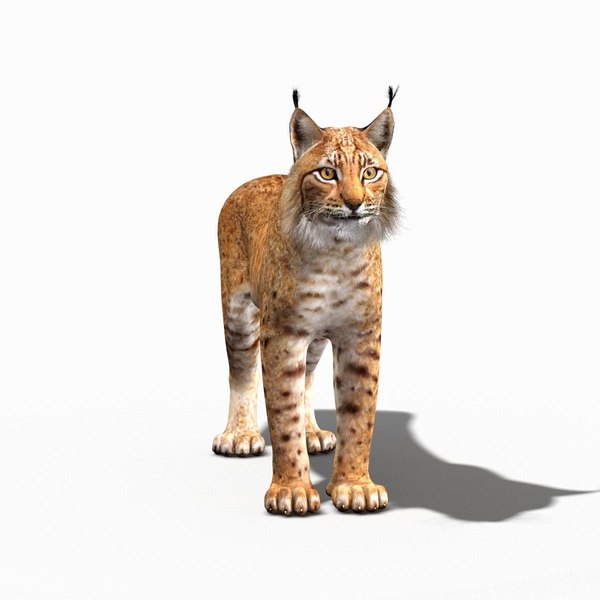 3ds lynx eurasian rigging animation