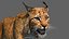 3ds lynx eurasian rigging animation