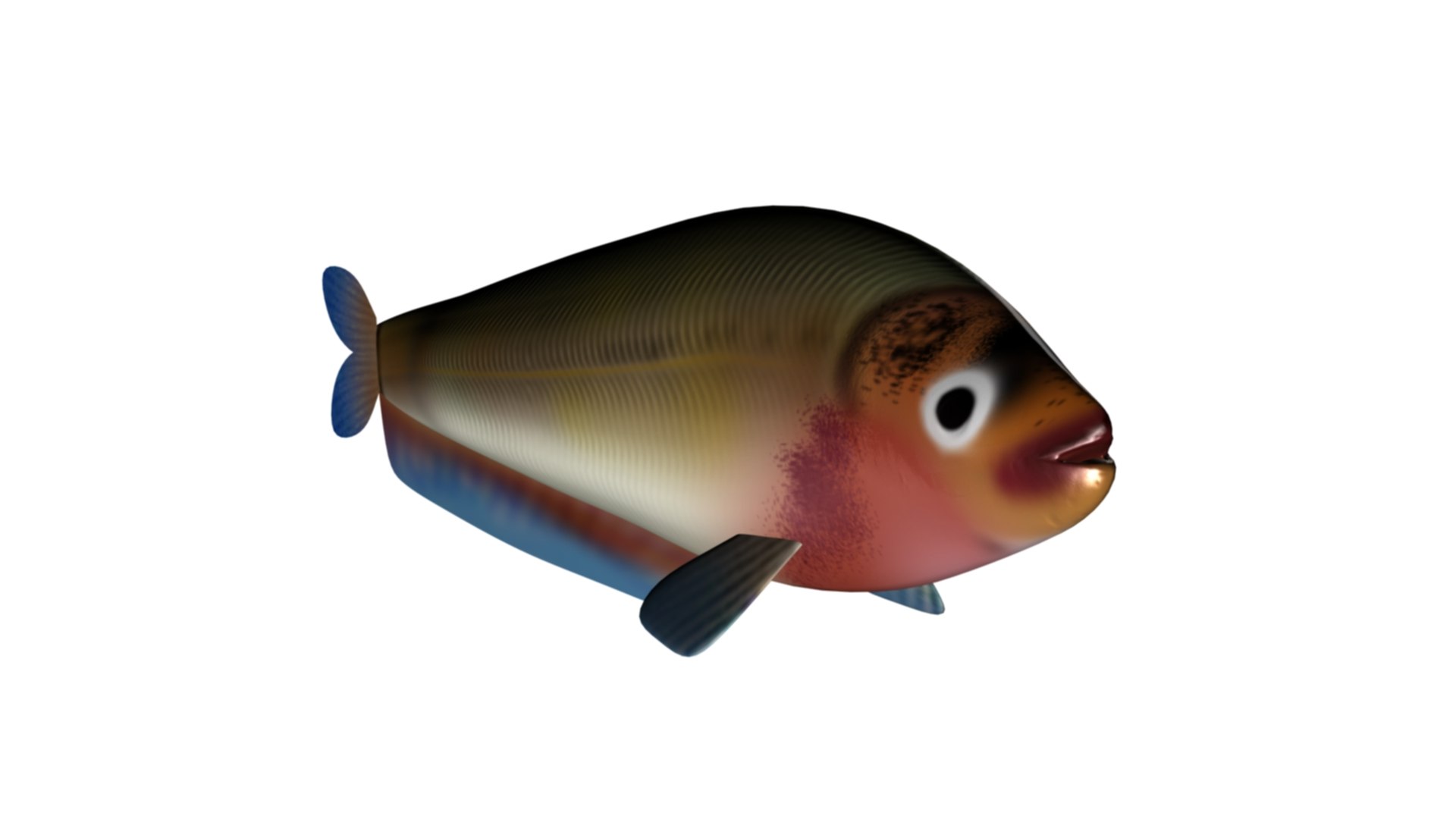 3D model Butterfish Collection https://p.turbosquid.com/ts-thumb/Bz/YJneAy/00/bf0009/jpg/1679685508/1920x1080/fit_q87/622e45c05a06ab675e588c23fe6e6748820a1ffb/bf0009.jpg
