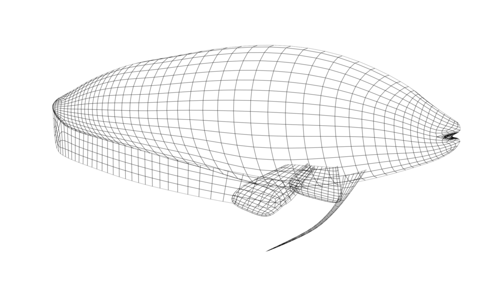 3D model Butterfish Collection https://p.turbosquid.com/ts-thumb/Bz/YJneAy/7z/wire/jpg/1679767794/1920x1080/fit_q87/4d7c30f4fc41cf74c7203c1c0a0b21a534e54526/wire.jpg