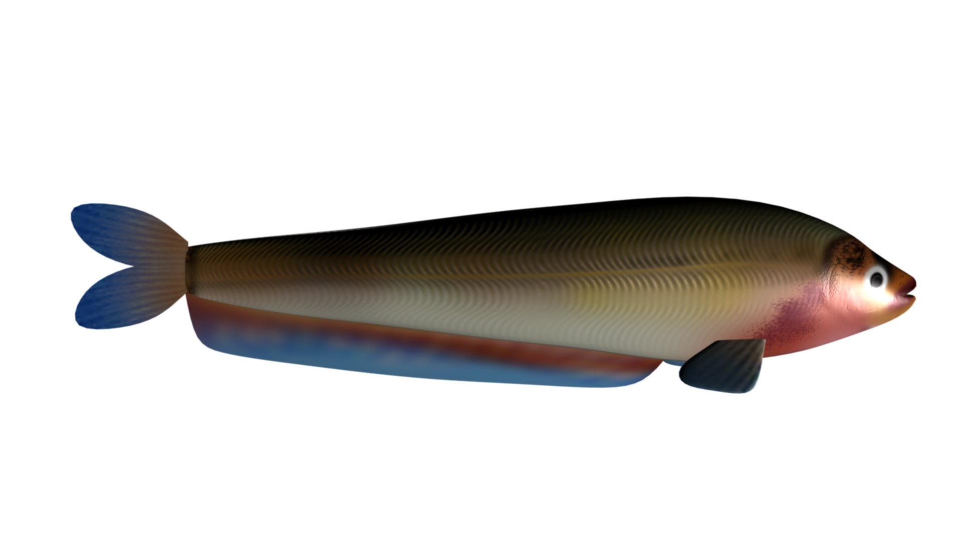 3D model Butterfish Collection https://p.turbosquid.com/ts-thumb/Bz/YJneAy/8i/bf0007/jpg/1679685506/1920x1080/fit_q87/0e412dd4bc107f7db95aa73605d7847103a56f3c/bf0007.jpg