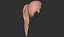hair 32