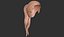 hair 32