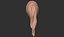 hair 32