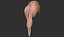hair 32