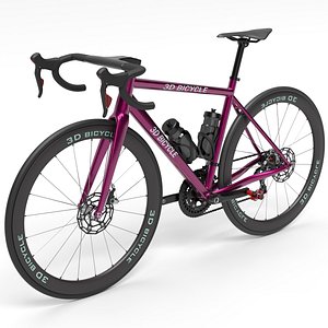 bicycle cycle racing model