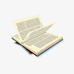 Rigged + Animated Book