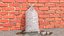 Bag with Frozen Ice Cubes 8LB Clear