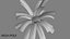 3D Coconut palm tree set model
