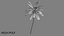 3D Coconut palm tree set model