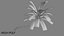 3D Coconut palm tree set model