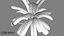 3D Coconut palm tree set model