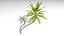 3D Coconut palm tree set model