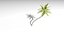 3D Coconut palm tree set model