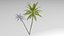 3D Coconut palm tree set model