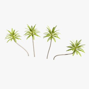 Game Ready Coconut palm tree set