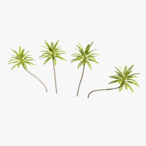 Game Ready Coconut palm tree set