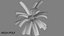 3D Coconut palm tree set model