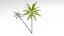 3D Coconut palm tree set model