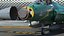 PAC JF-17 Tuono verde livrea con armamento attrezzato