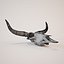Cow Skull