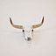 Cow Skull