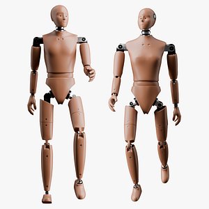 Rigged Crash Test Male and Female Dummy