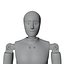 Rigged Crash Test Male and Female Dummy 3D