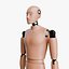 Rigged Crash Test Male and Female Dummy 3D